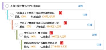 上海三维计算机技术服务公司