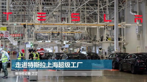 走进特斯拉上海超级工厂 探秘绿色智能制造的上海技术服务新标杆